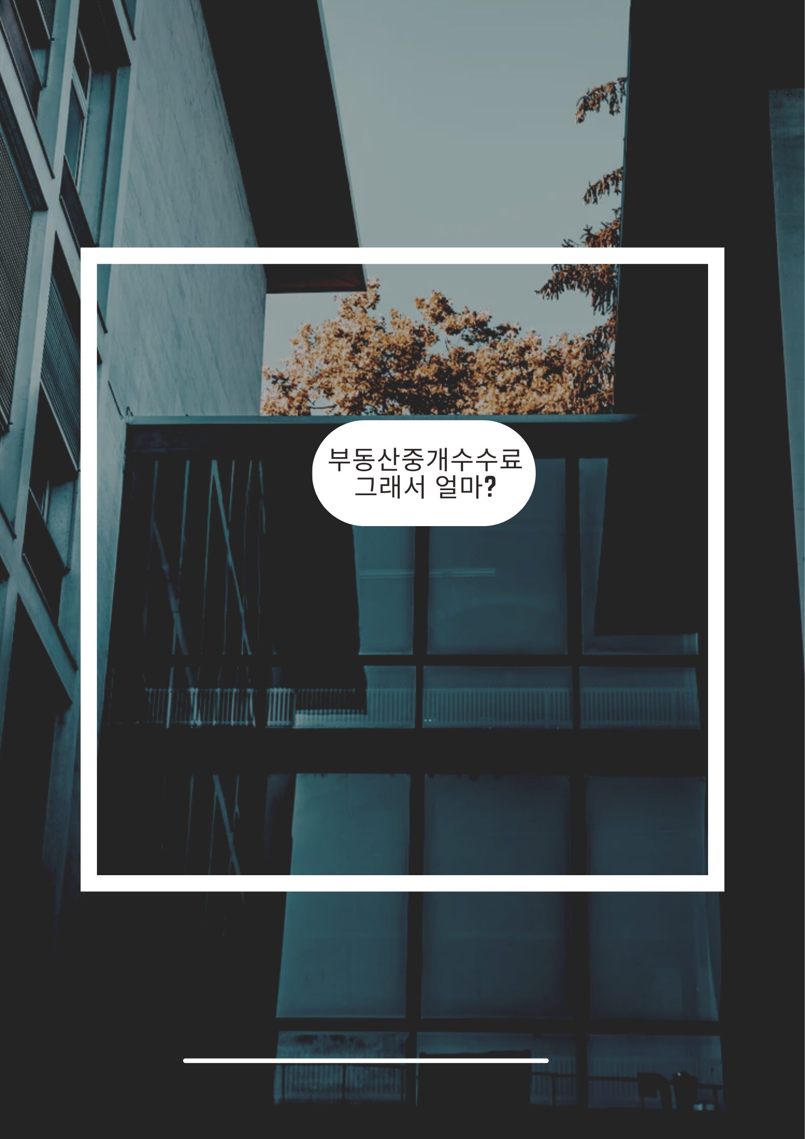 부동산 중개수수료