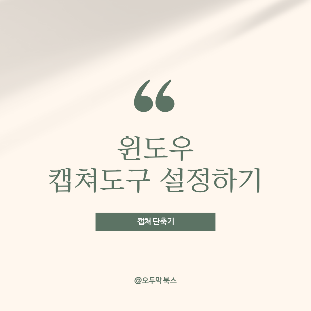 윈도우 캡쳐도구 설정하기