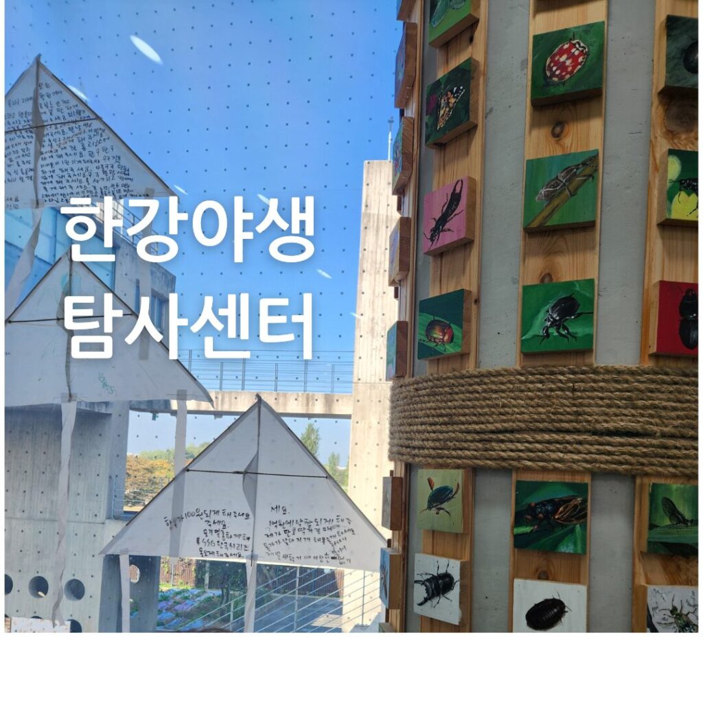 한강야생탐사센터